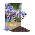 Borage Seeds – Bulk Quarter Pound Bag – Over 5,000 Open Pollinated Non-GMO Wildflower Seeds – Borago officianalis