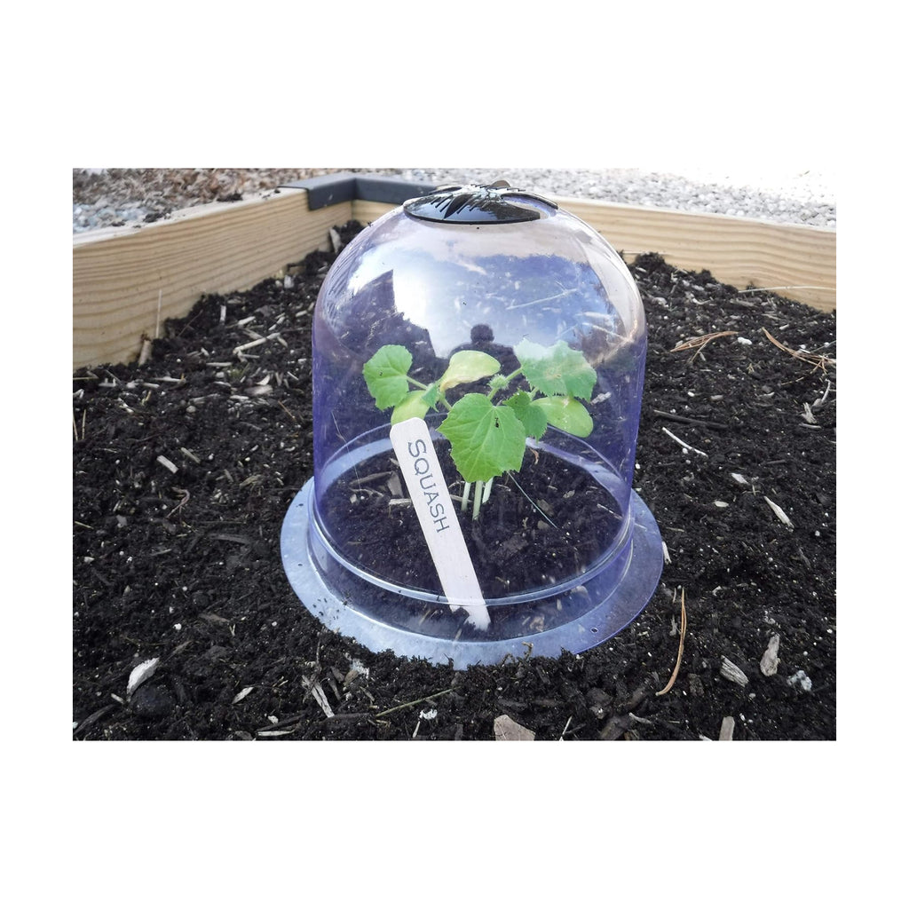 6-Pack! GrowAway Small Reusable Plastic Mini Greenhouse, Garden Cloche Dome, Plant Covers Frost Guard Freeze Protection