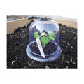 6-Pack! GrowAway Small Reusable Plastic Mini Greenhouse, Garden Cloche Dome, Plant Covers Frost Guard Freeze Protection