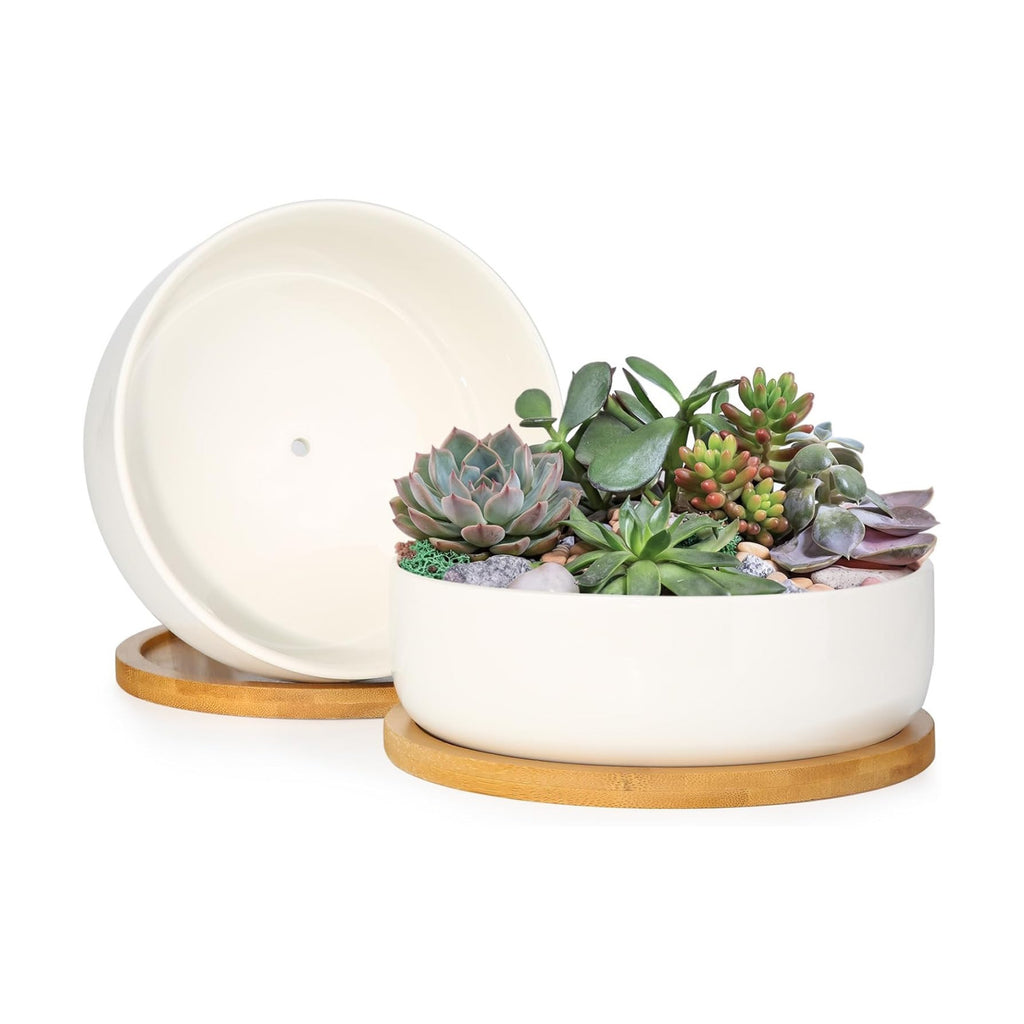ZOUTOG Succulent Pots,6 Inch Succulent Planters with Drainage and Tray,White Ceramic Planters for Indoor Plants,Round