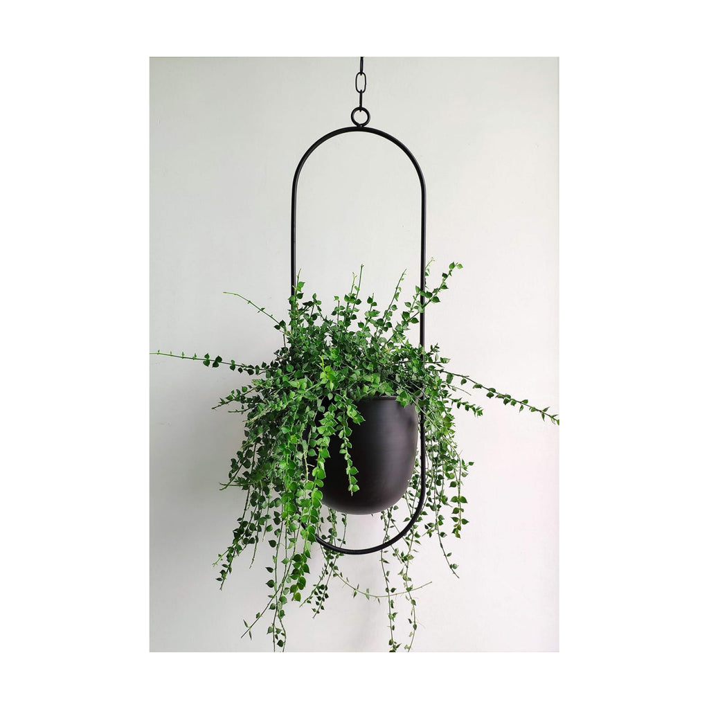 RISEON Boho Black Metal Plant Hanger,Metal Wall and Ceiling Hanging Planter, Modern Planter, Mid Century Flower Pot