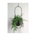 RISEON Boho Black Metal Plant Hanger,Metal Wall and Ceiling Hanging Planter, Modern Planter, Mid Century Flower Pot