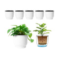 T4U Self Watering Pots for Indoor Plants, 4.5 Inch 6 Pack Planter White