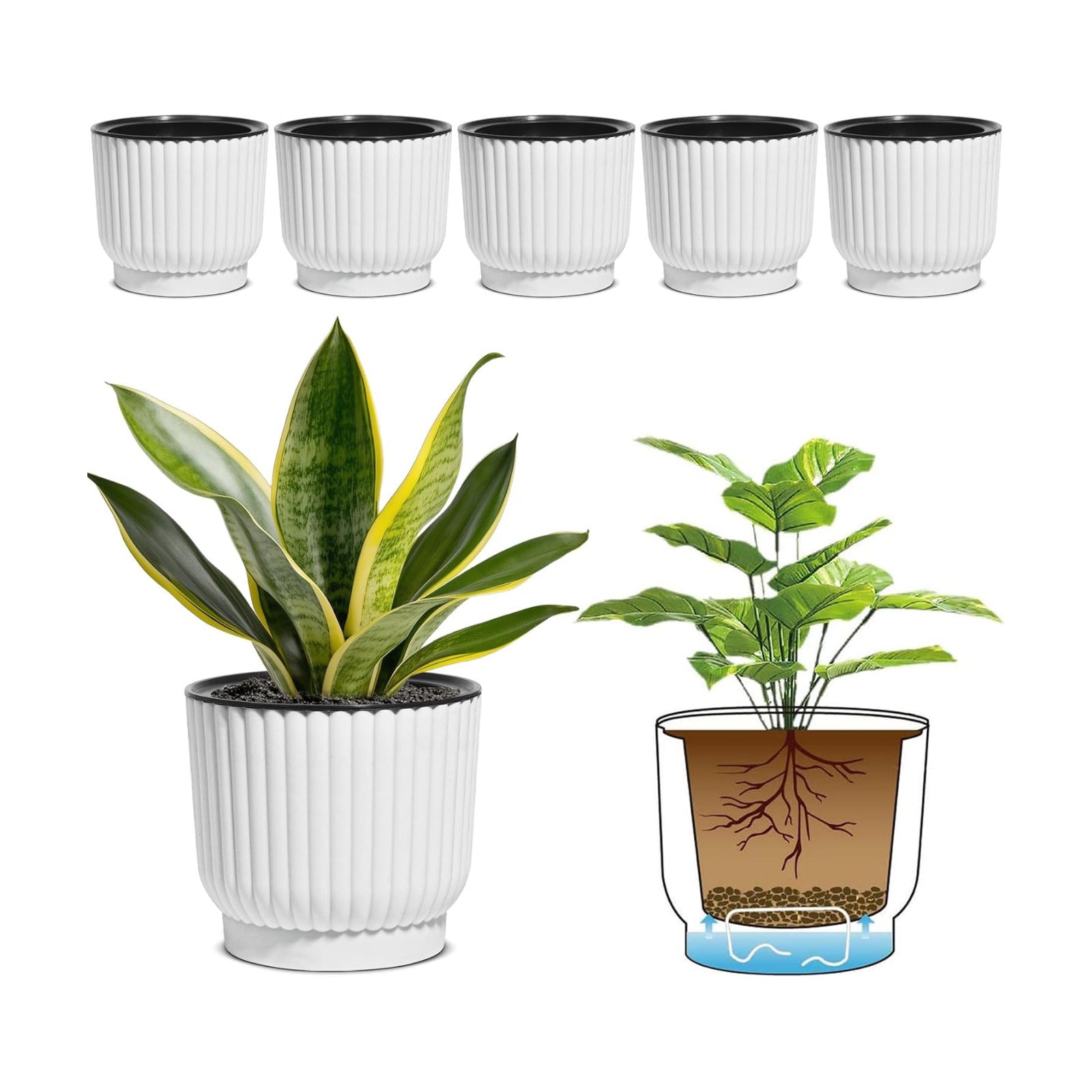 T4U Self Watering Pots for Indoor Plants, 6 Inch 6 Pack Planter White | African violet pothos ferns, Herb garden