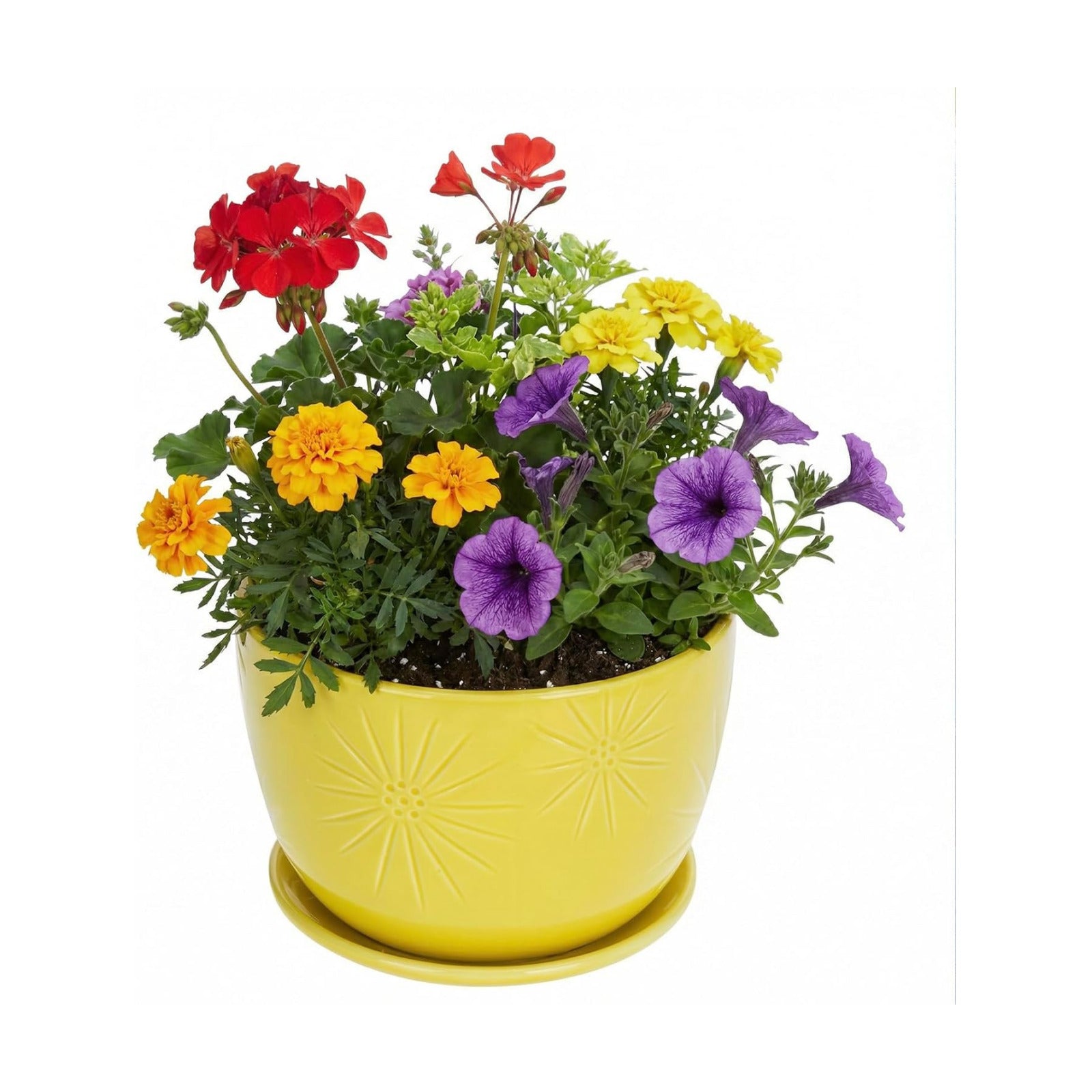 MyGift 7 Inch Yellow Ceramic Planter Pot with Sunburst Design & Saucer | Bright tabletop planter features a textured