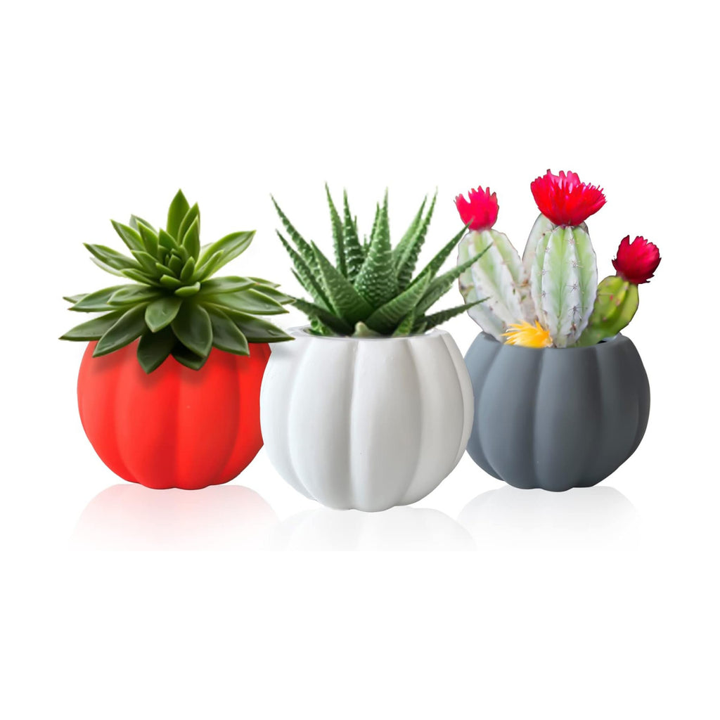 Set of 3 Ceramic Miniature Pumpkin Succulent Pots with Drainage Hole3x4x2.3