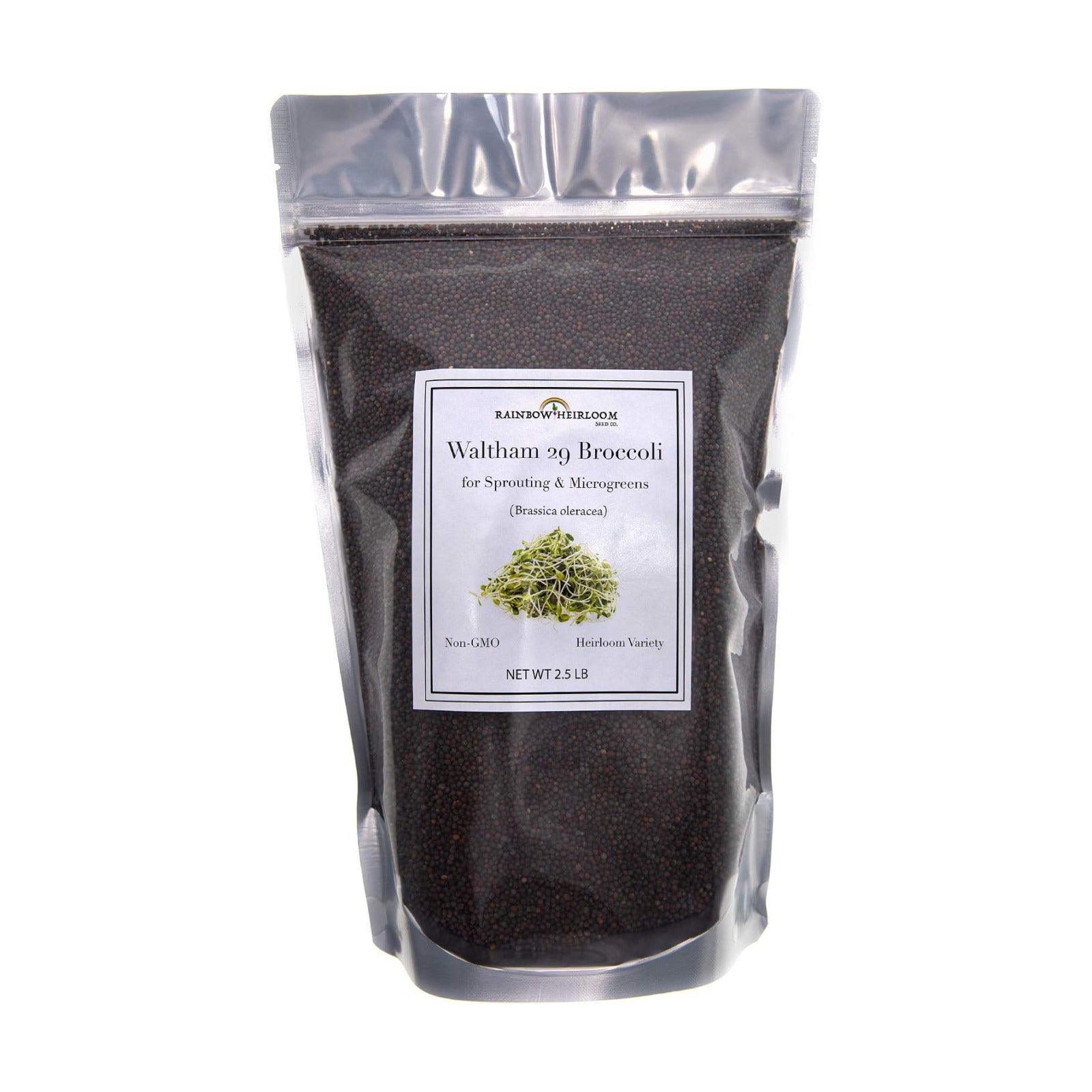 Broccoli Seeds for Sprouting & Microgreens | Waltham 29 Variety | Non GMO & Heirloom Seeds | Bulk 2.5 LB (40 oz)
