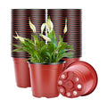 VIVOSUN 50 Pcs 6 in Plastic Plant Nursery Pots, Seed Starting Pots | Flower Plant Container for Seedlings, Cuttings