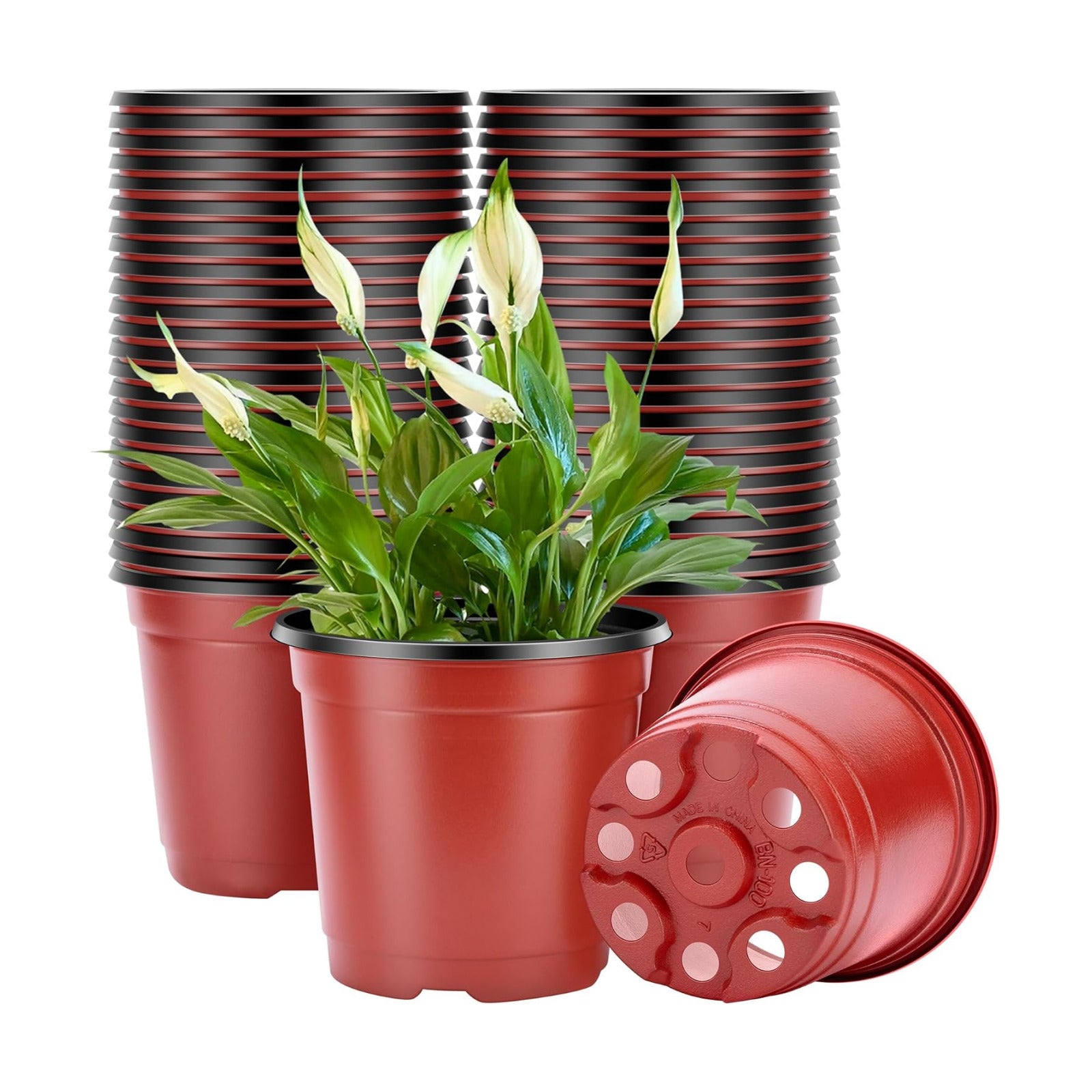 VIVOSUN 50 Pcs 6 in Plastic Plant Nursery Pots, Seed Starting Pots | Flower Plant Container for Seedlings, Cuttings