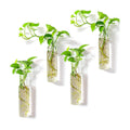 Kingbuy Wall-Mounted Plant Terrarium Propagation Station - 4 Cylinder Hanging Glass Tubes Planter for Hydroponic Plants, Indoor Wall Vases & Decorative Plant Holder Bathroom Office Living Room Decor