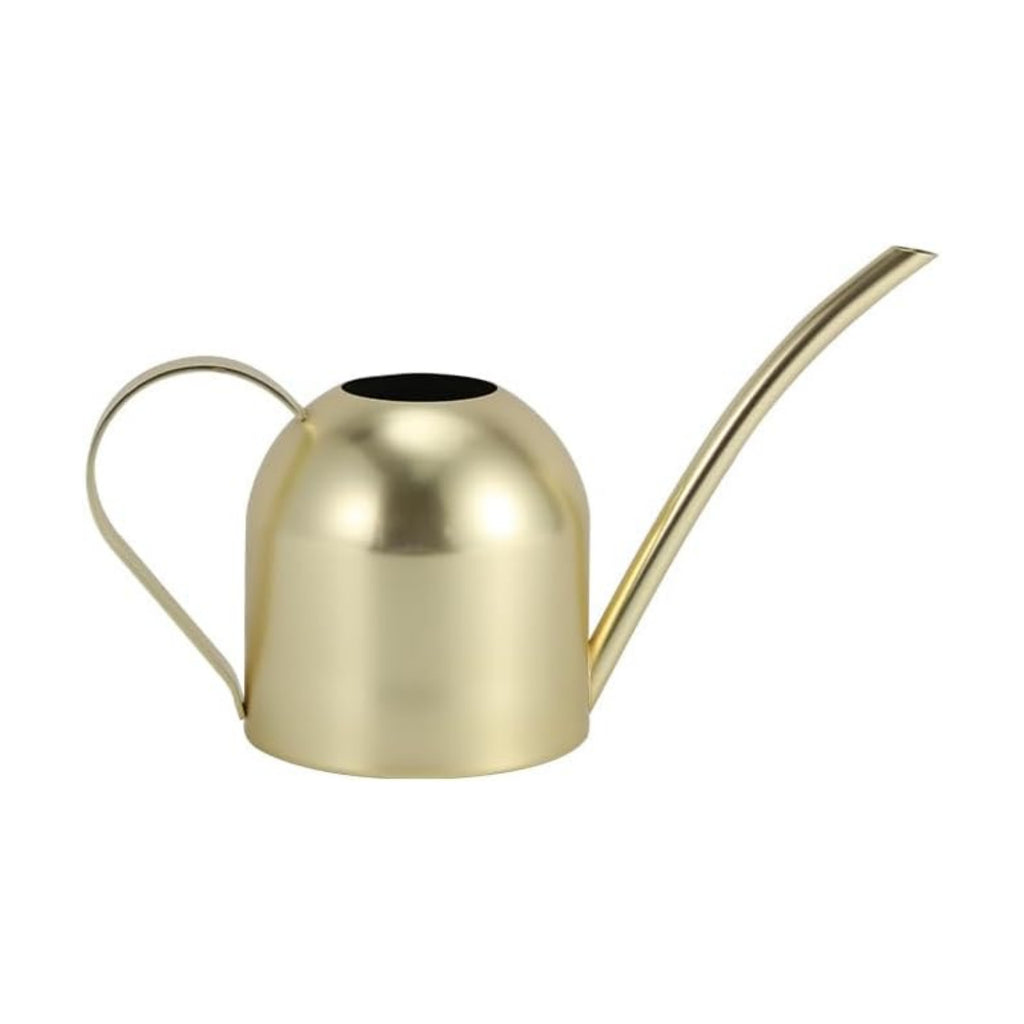 Gold Watering Can for Indoor Plants, 450ml/15oz Metal