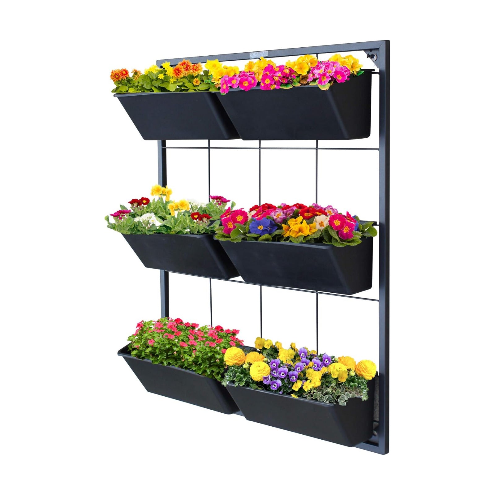 Vertical Wall Planter with 6 Removable Pots for Indoor or Outdoor | Wall mounted planter with metal frame and 6