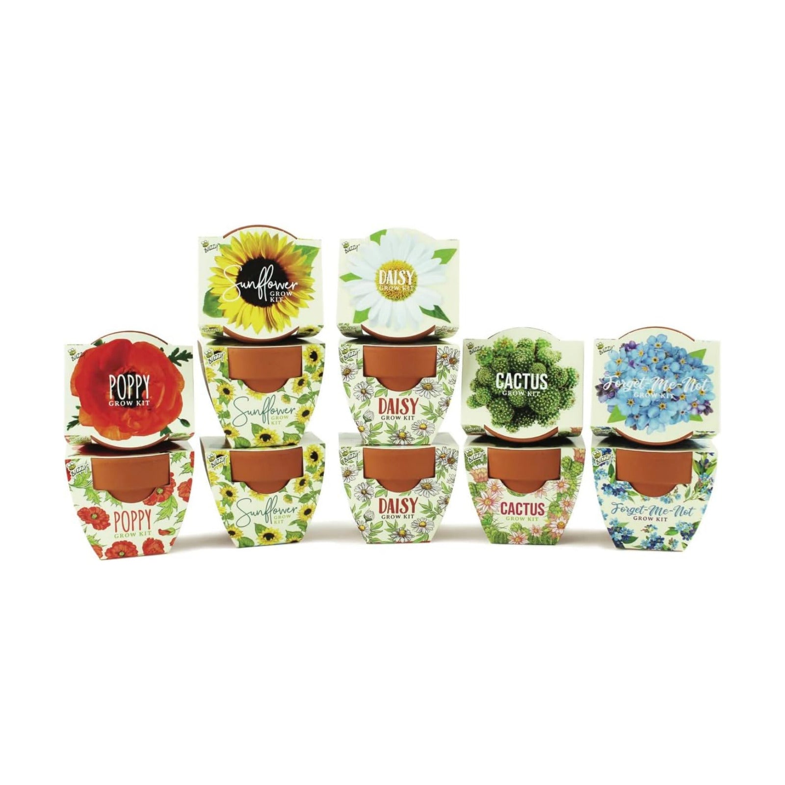 BUZZY Seeds Mini Terracotta Grow Kit 12-Pack - Mini Terracotta Pot Grow Set - Complete Indoor/Outdoor Gardening Kit