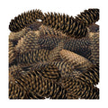 Spruce Pine Cones Set of 24, Natural Large Pinecones 3.5"–4.5", Rustic Pine Cones for Christmas Decorations, Vase Filler, Holiday Centerpieces, Winter Wreaths, Garland, Bowl Filler & DIY Crafts