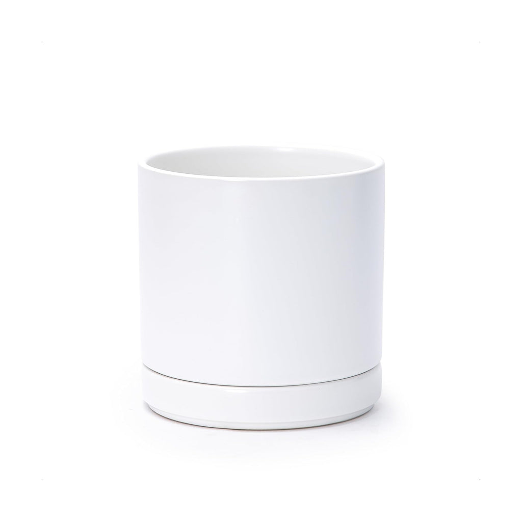 D'vine Dev 6.5 Inch Ceramic Planter Pot, White, 94-O-C-1 | Modern Cylinder Design, Drainage Hole & Saucer Included