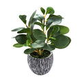 AlphaAcc Fake Faux Fiddle Leaf Fig Cement Planter Housewarming Desk Decor