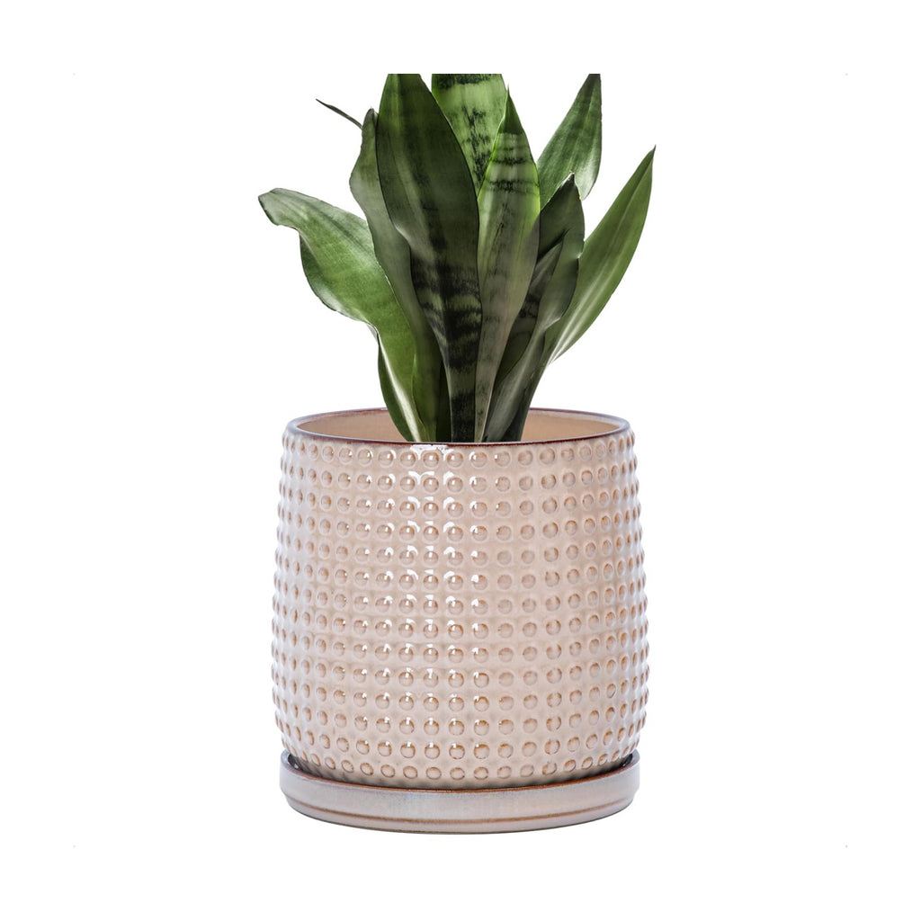 D'vine Dev Beaded Ceramic Pot with Saucer, 6 in, Light Brown, 27-C-X-4