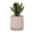 D'vine Dev Beaded Ceramic Pot with Saucer, 6 in, Light Brown, 27-C-X-4