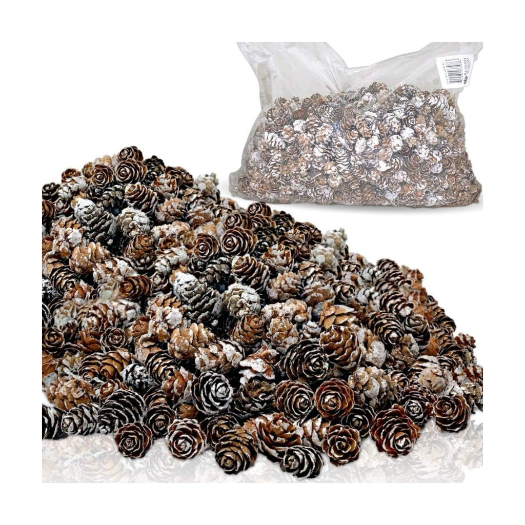 Bulk Lot White Washed Real Pine Cones – Approx. 1500 Assorted Natural Pinecones in 2 lb Bag – Rustic Fall Decor, Christmas Bowl Fillers, DIY Crafts, Wreath & Table Decorations
