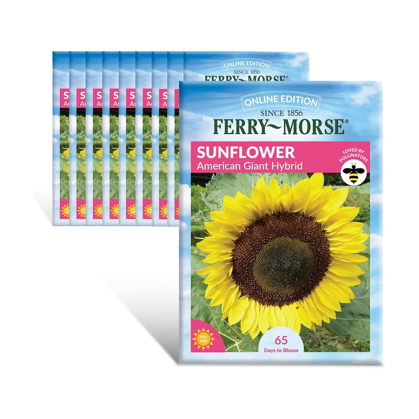 Ferry-Morse Online Edition Sunflower American Giant Hybrid Seed Multipack - 10 Pack