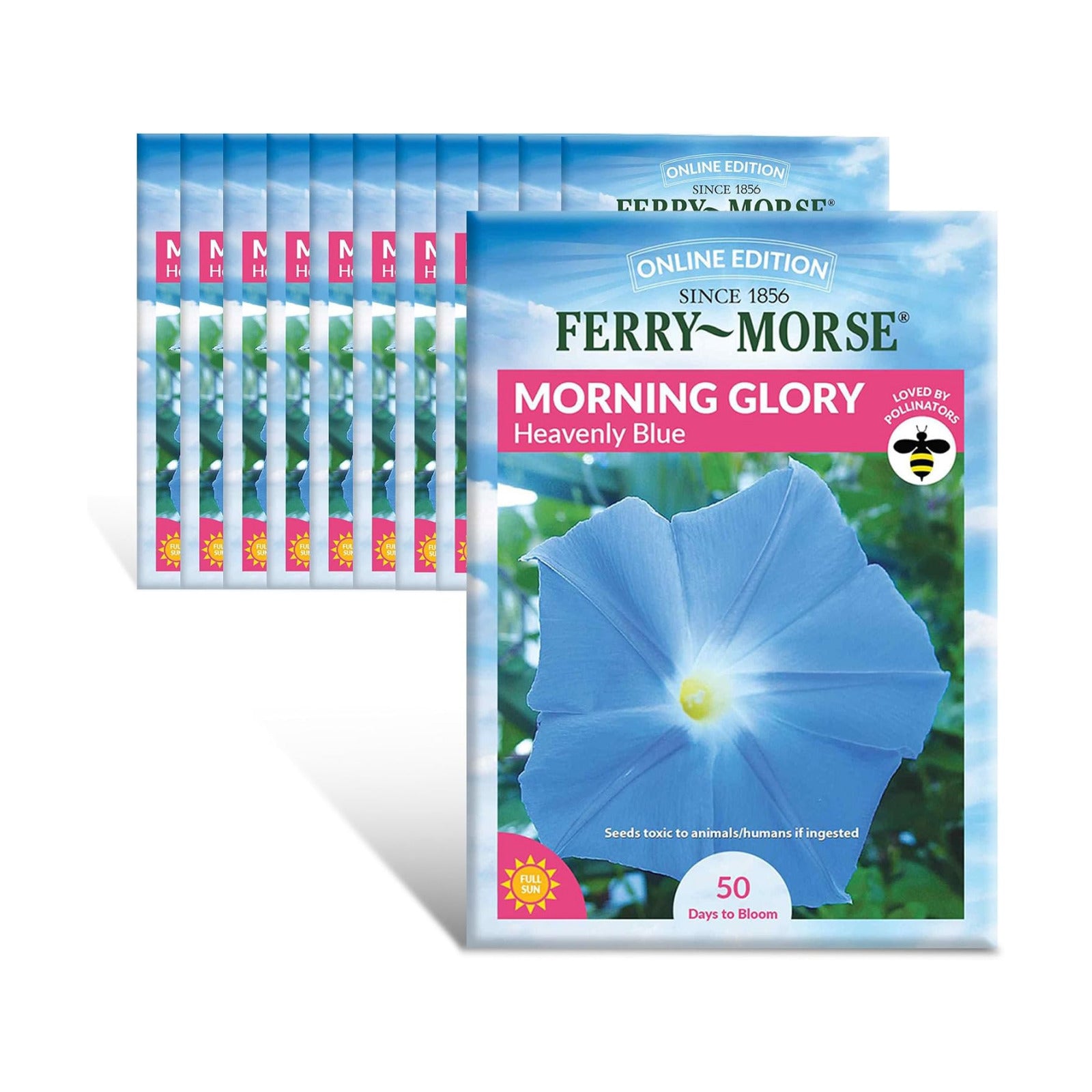 Ferry Morse Morning Glory Heavenly Blue Flowering Plant Seeds - Attracts Pollinators, GMO Free - 12 Pack - Plant Seed