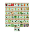 Set of 50 Premium Variety Herbs and Vegetables - Deluxe Garden Choices for Premium Gardening! (50 Variety Premium