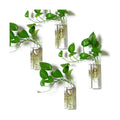 Square Glass Propagation Vase 4 Pack, Wall Hanging Hydroponic Planter | Borosilicate glass, clear & sturdy. Wall-mount.