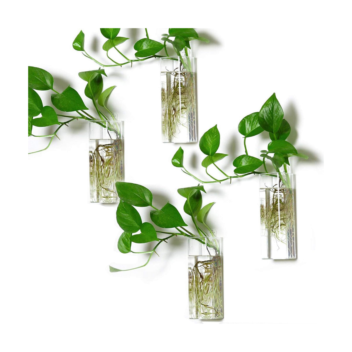 Square Glass Propagation Vase 4 Pack, Wall Hanging Hydroponic Planter | Borosilicate glass, clear & sturdy. Wall-mount.
