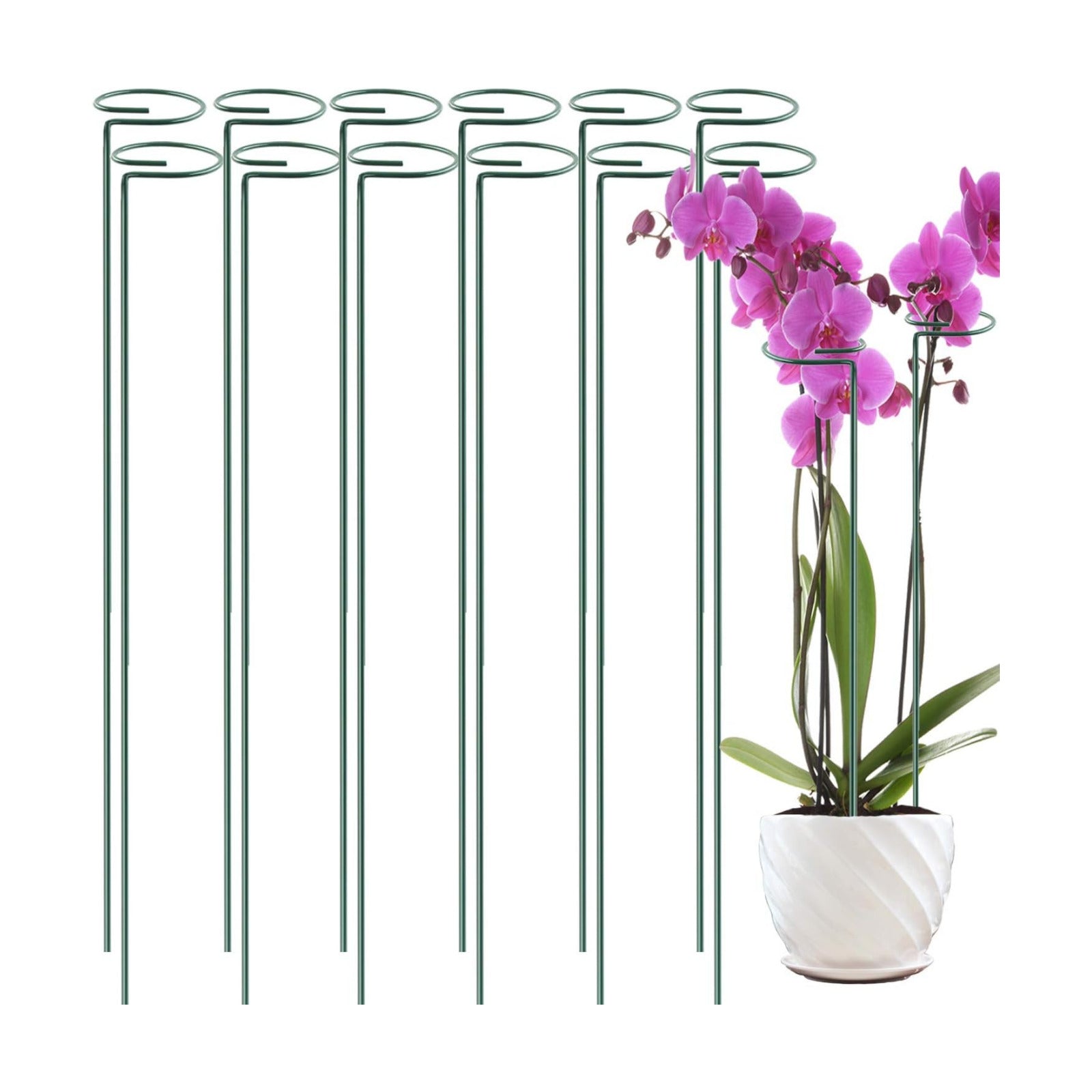 12 Pack 36 inch Plant Support Stakes,Single Stem Plant Support Stake Single Plant Stem Garden Flower Support Stake