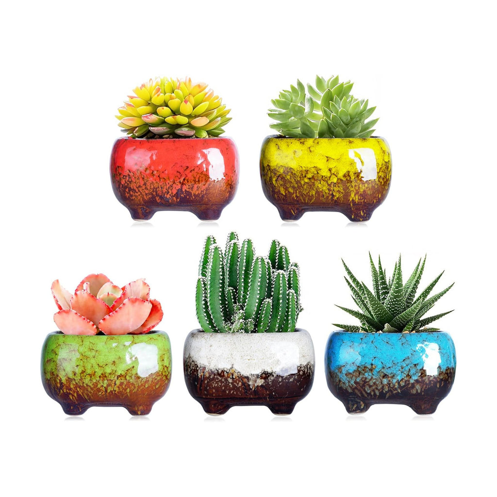 ARTKETTY Succulent Pots, 4.7 Inch Small Plant Pots with Drainage Pack of 5 | Ceramic Planters for Indoor Cactus Plants