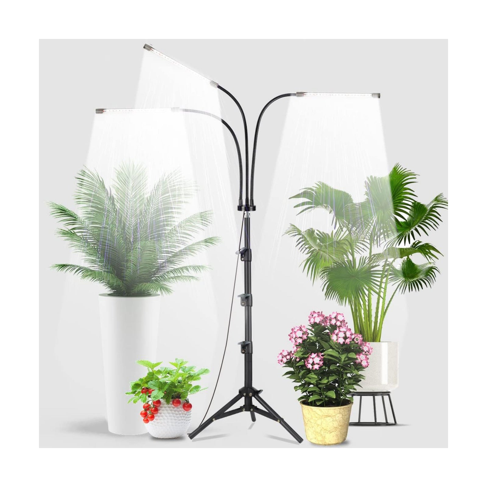 GHodec Grow Light with Stand, 60 LED 5500K Full Spectrum Floor Plant Light for Indoor Plants Growing,5 Dimmable Levels