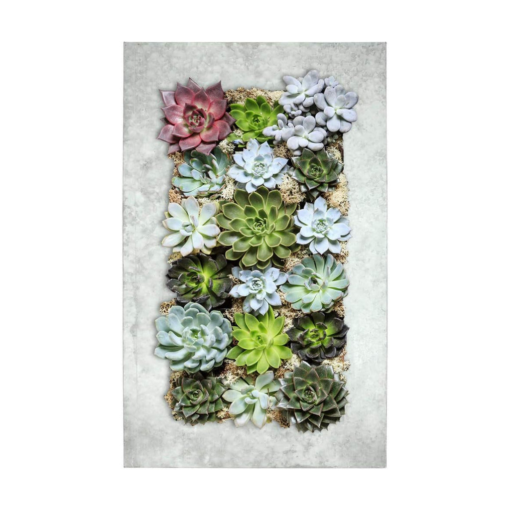 Modern Home Living Wall Galvanized Steel/Zinc Succulent Planter, Wall Mounted Garden Pocket Planter (18 Pocket, Aged