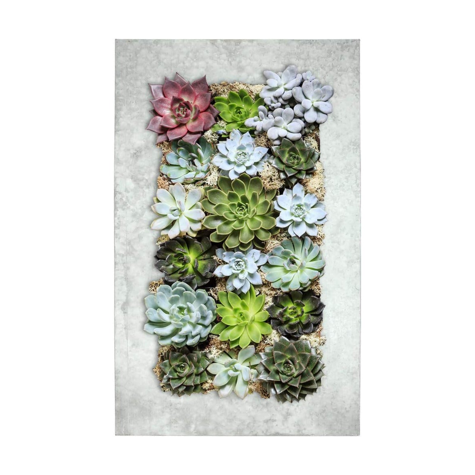 Modern Home Living Wall Galvanized Steel/Zinc Succulent Planter, Wall Mounted Garden Pocket Planter (18 Pocket, Aged