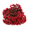 BBTO Artificial Holly Berries on Wire Stems, 250 Stems with 500 Pieces 8 mm Fake Berries for Tree Decorations Wreath Craft Use Wedding Party Favor (Dark Red)