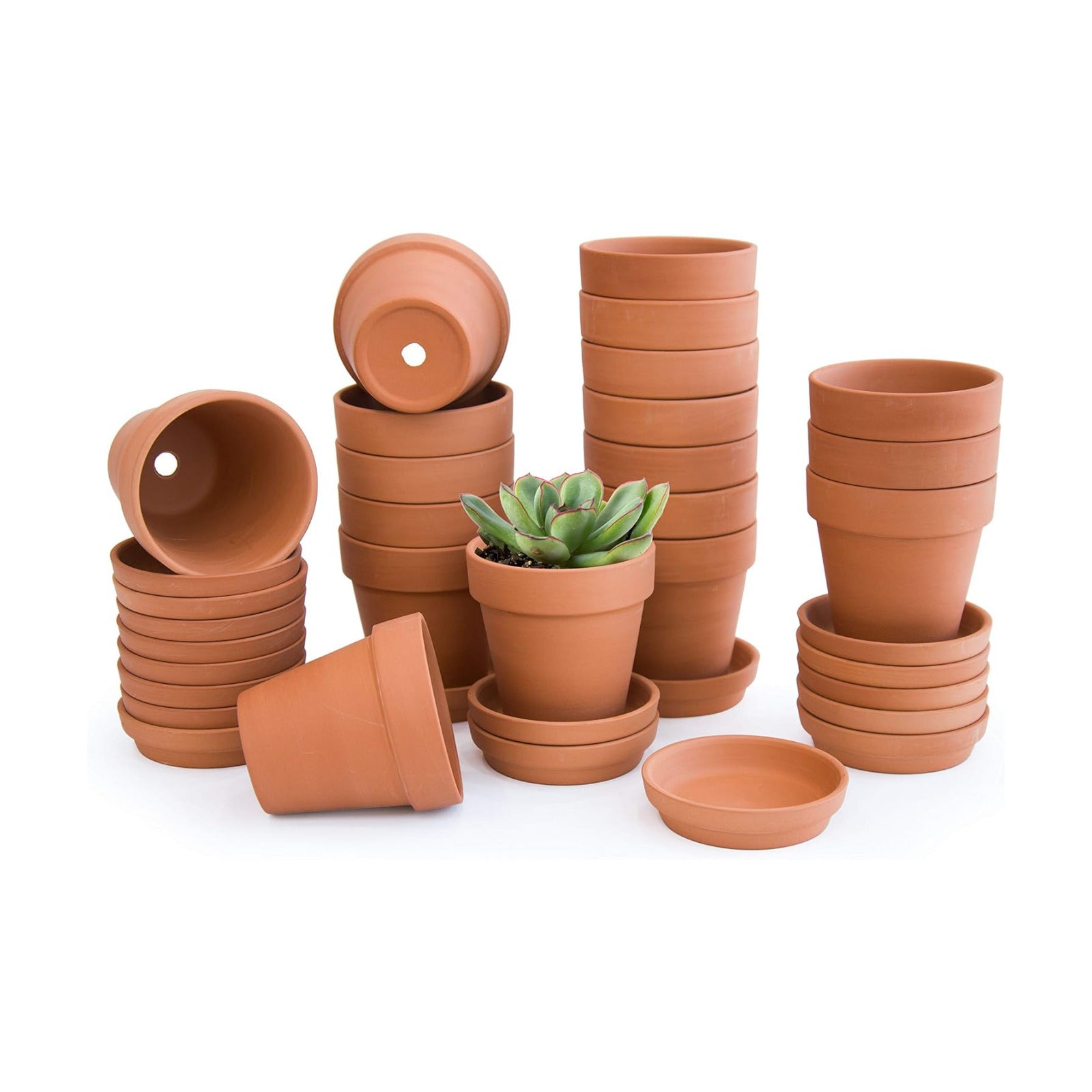 D'vine Dev 18-Pack Terracotta Plant Pots with Saucers, 3 in, 588-A-1-3 | High-Temperature Fired, Unglazed Terracotta