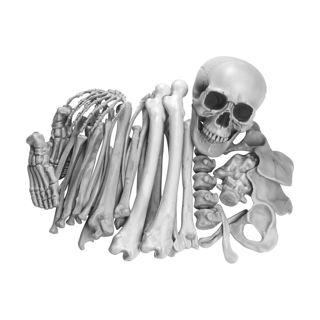 GameXcel 35 Pcs Life Size Skeleton Bones with Skull - Bag of Bones Decor