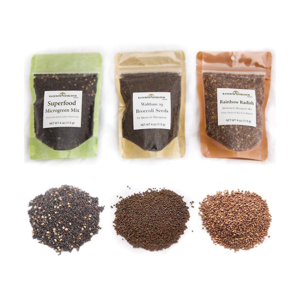 Heirloom Sprouting & Microgreen Seed Variety Pack | Contains Waltham 29 Broccoli Sprouting Seeds, Rainbow Radish