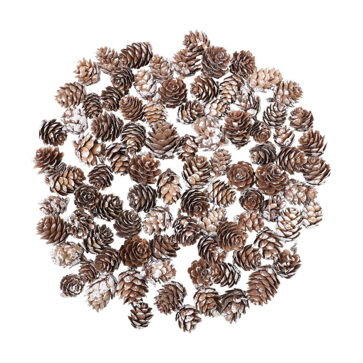 Cooraby 85 Pieces Micro-mini Snow Pine Cones Christmas Snow Pine Cones Ornaments for Home Decoration, Fall and Christmas Crafts
