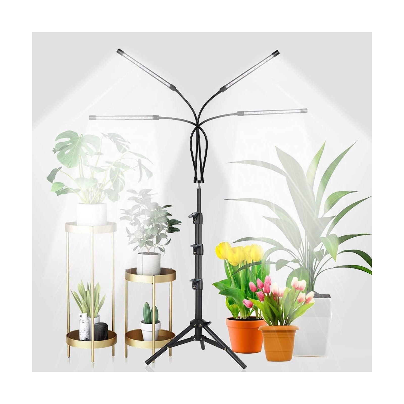 GHodec Grow Light Free Standing, 5500K Full Spectrum Gooseneck LED Lamp | Floor Plant Light for Indoor Plants Growing,5