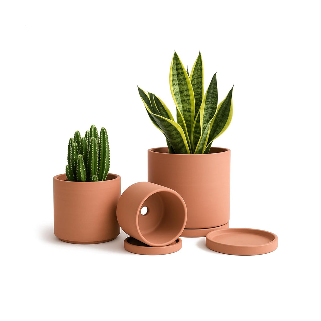 D'vine Dev 3-Pack Classic Terracotta Pots & Saucers, 4/5/6 in, 40-T-A-0 | Cylinder Shape, Timeless Style, Unglazed