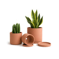 D'vine Dev 3-Pack Classic Terracotta Pots & Saucers, 4/5/6 in, 40-T-A-0 | Cylinder Shape, Timeless Style, Unglazed