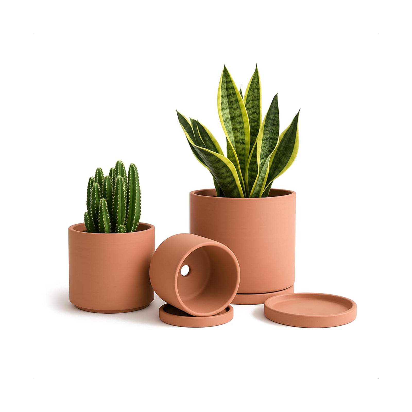 D'vine Dev 3-Pack Classic Terracotta Pots & Saucers, 4/5/6 in, 40-T-A-0 | Cylinder Shape, Timeless Style, Unglazed
