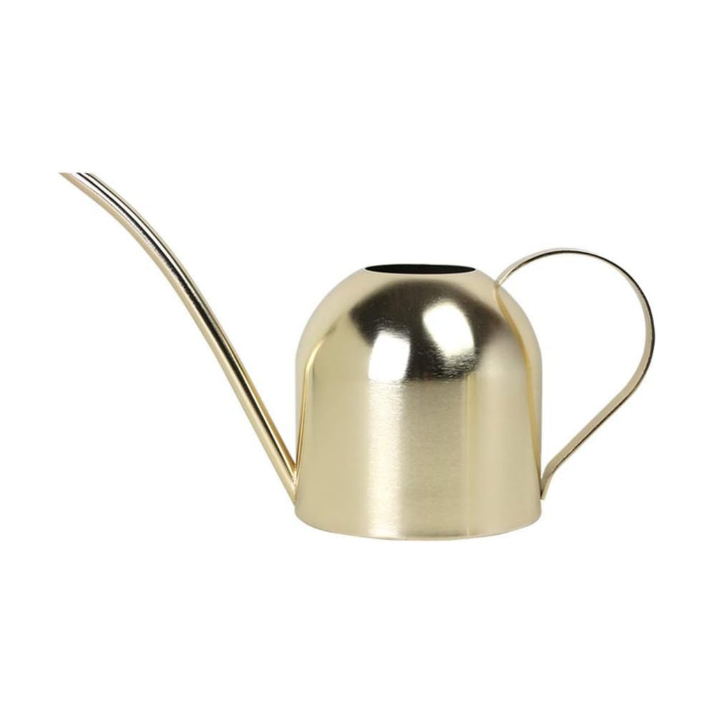 Stainless Steel Water Can for Indoor Plants and Garden (Gold 30 oz) | Stainless steel, long spout, houseplants