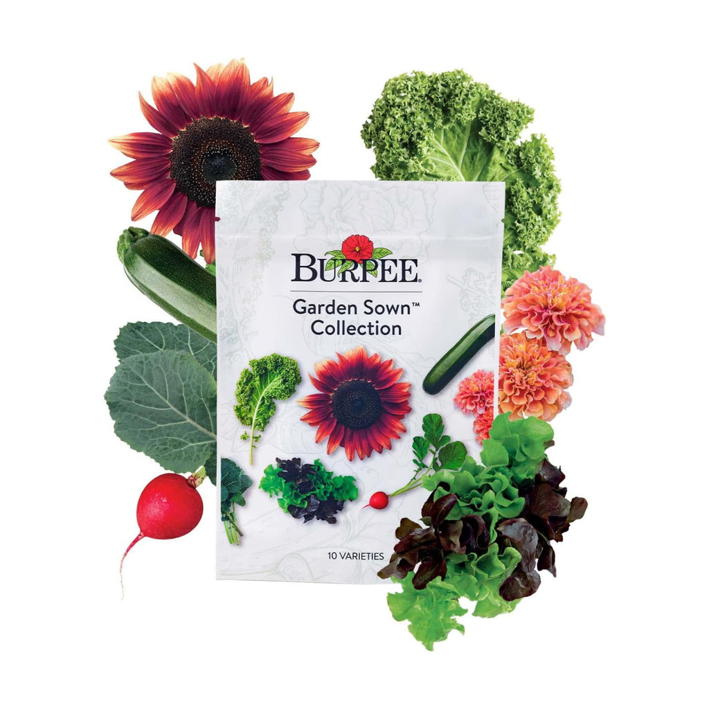 Burpee Garden Sown Flower, Herb & Vegetable 10 Packs of Non-GMO Basil, Lettuce, Cucumber, Radish, Spinach, Kale