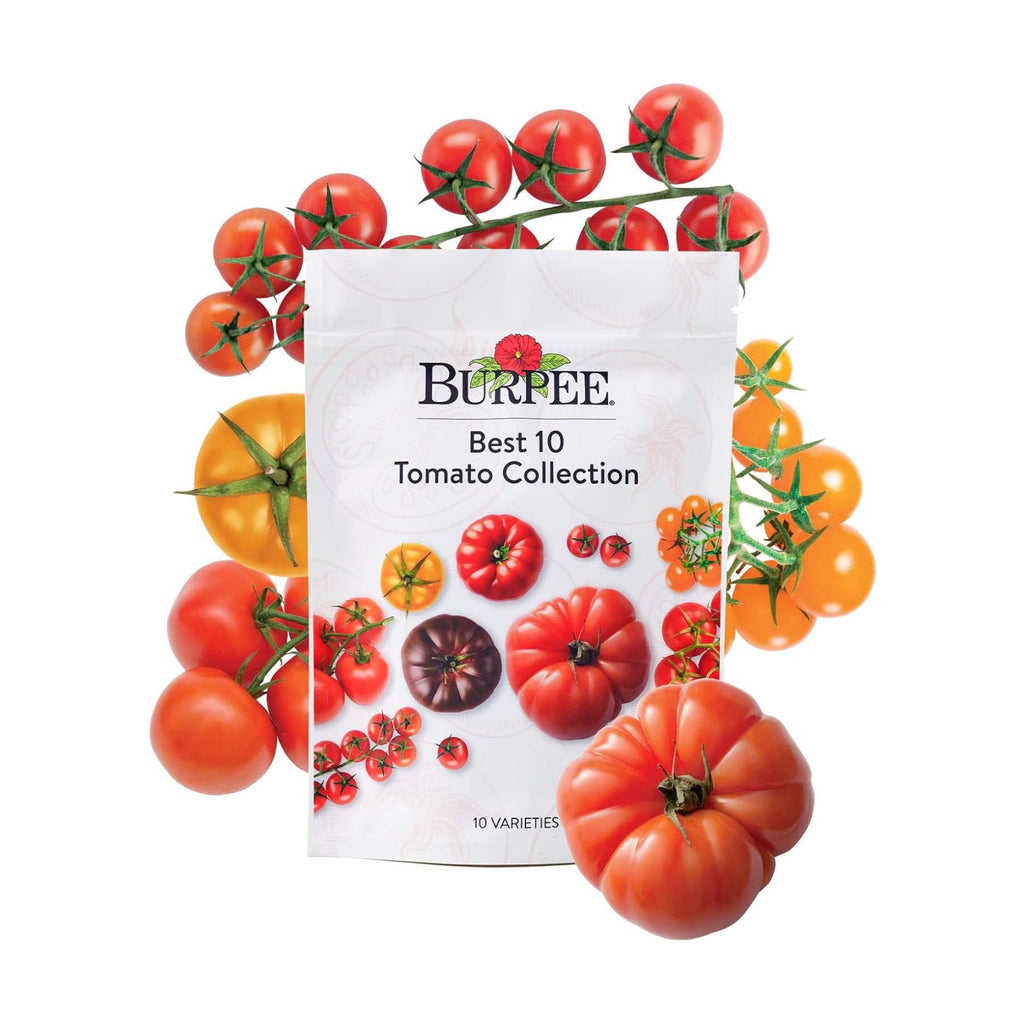 Burpee Best 10 Non-GMO Planting Tomato Seeds for Garden Gifts (1 Pack)