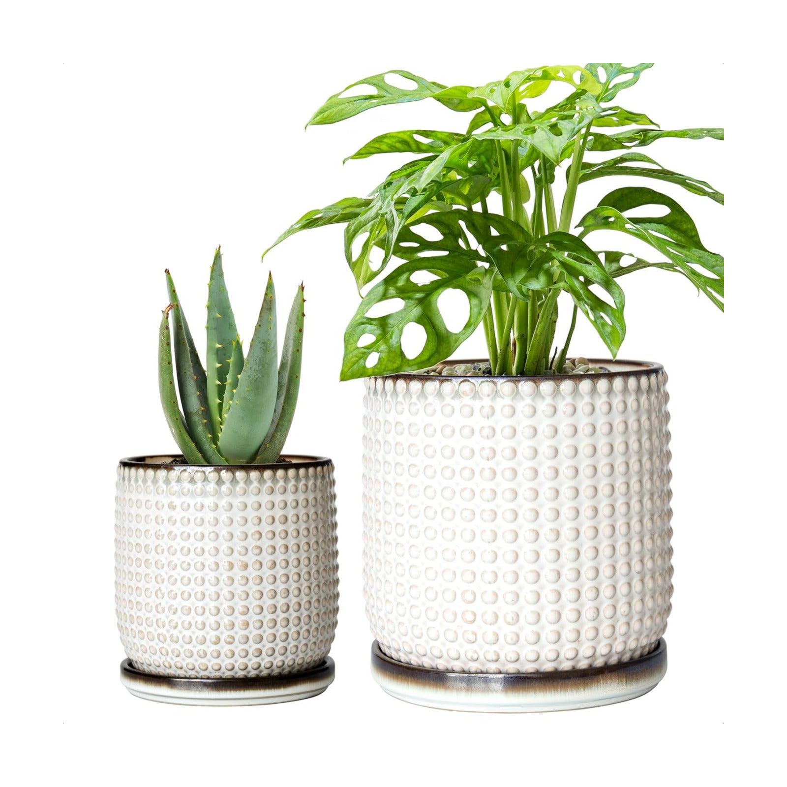 D'vine Dev Beaded Ceramic Planter Pots, 4/6 in, Smoked White, 27-D-U-1 | Embossed Dot Texture, with Drainage Hole and