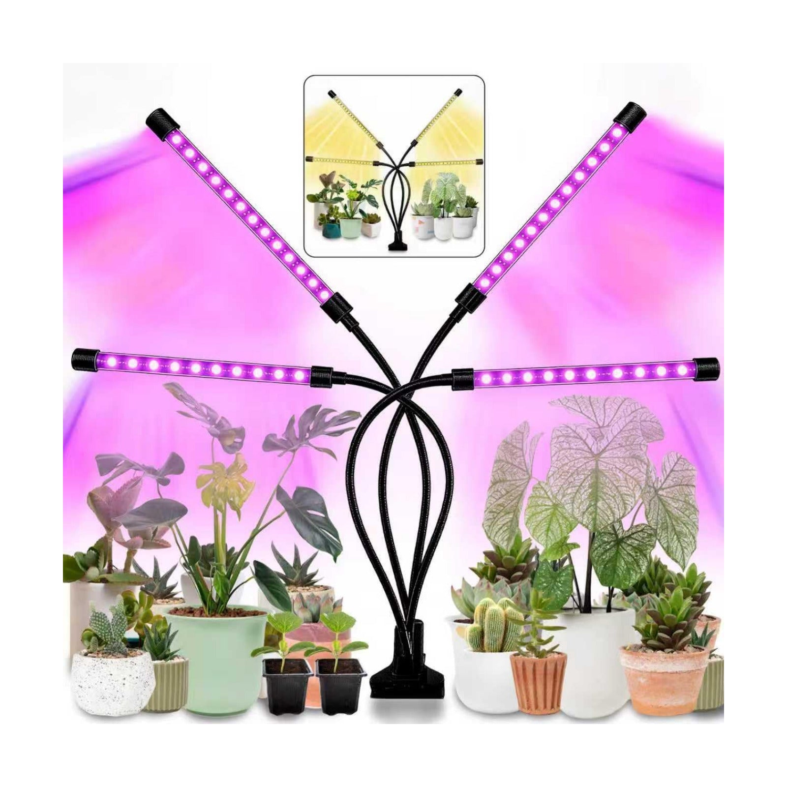 LEOTER Grow Light for Indoor Plants - Upgraded Version 80 LED Lamps with Full Spectrum & Red Blue Spectrum, 3/9/12H