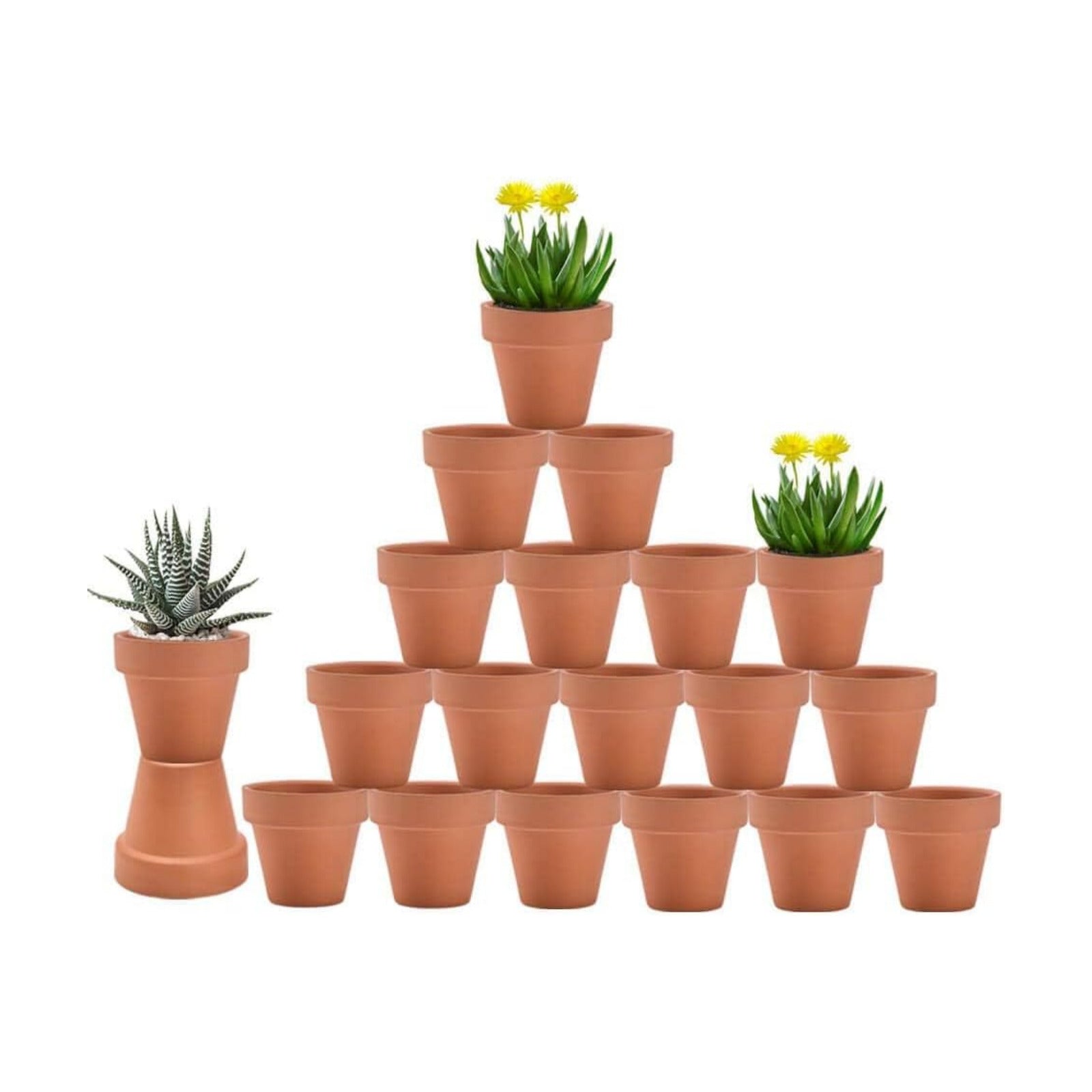 3 Inch Terracotta & Clay Pot for Plant with Drainage, 20 Pack | Clay Flowerpot, Nursery pot for succulents, cactus