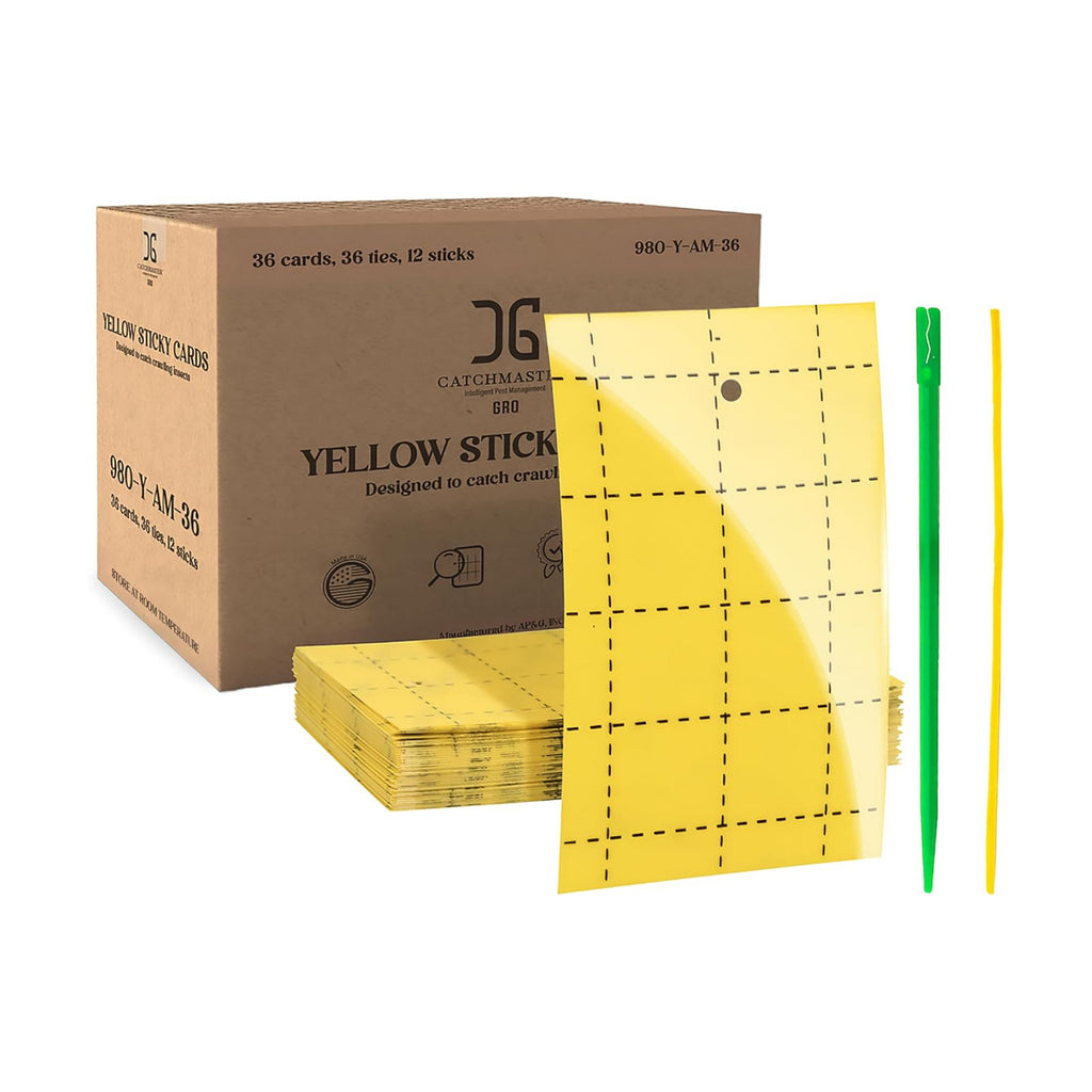 Catchmaster GRO Yellow Regular Double Sided Sticky Traps 36PK, Adhesive Bug & Fruit Fly Trap, Pest Control for Home