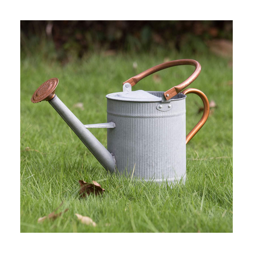 1 Gallon Watering Can, Metal Watering Can with Removable Spout, Farmhouse Galvanzied Water Can, Nice Plant Water Can
